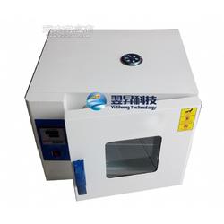 精密溫控箱高溫烤箱恒溫加熱箱高溫老化箱批發(fā)